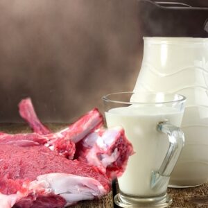 غذای شیر گوشت در طب اسلامی